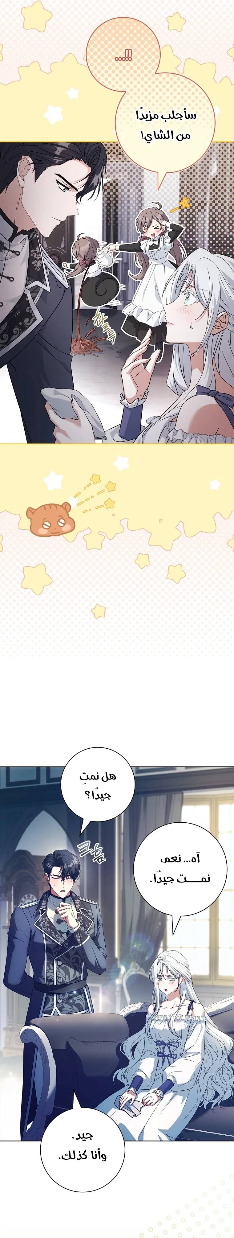 الصفحة 17