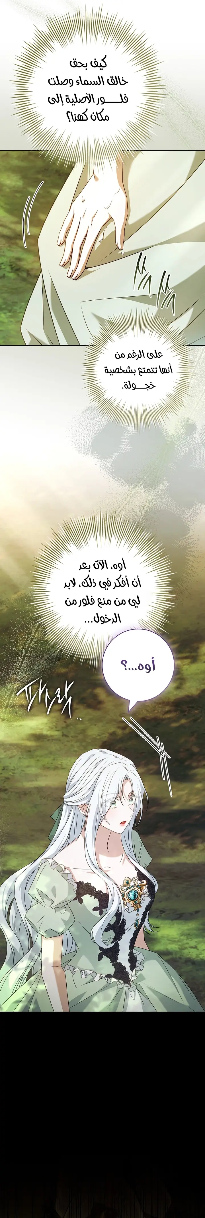 الصفحة 19