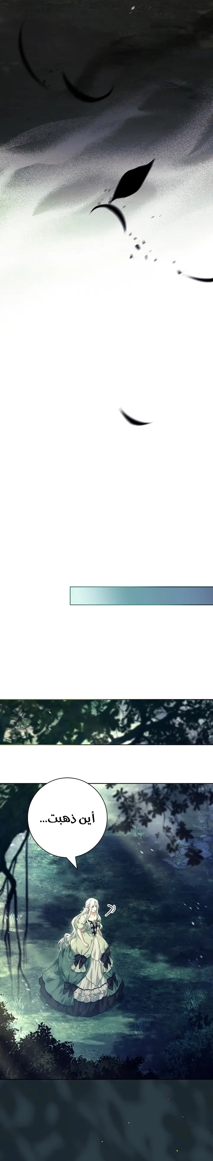 الصفحة 21