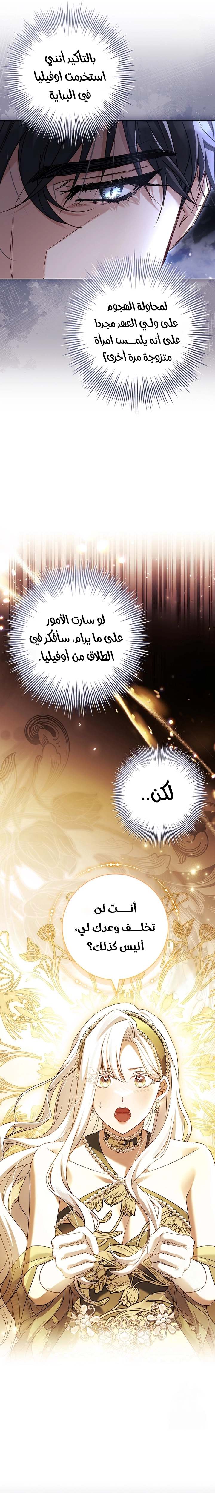 الصفحة 28