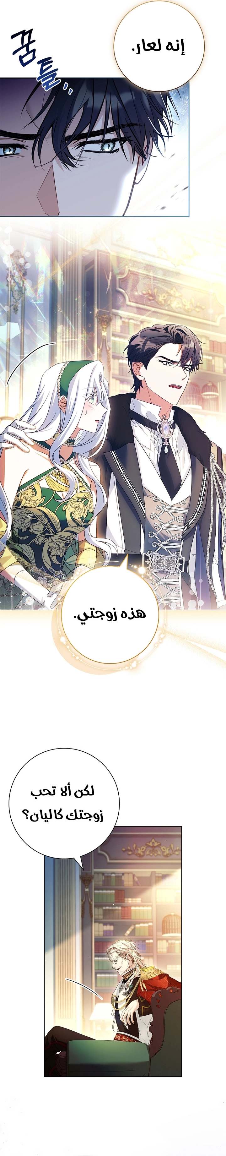 الصفحة 11