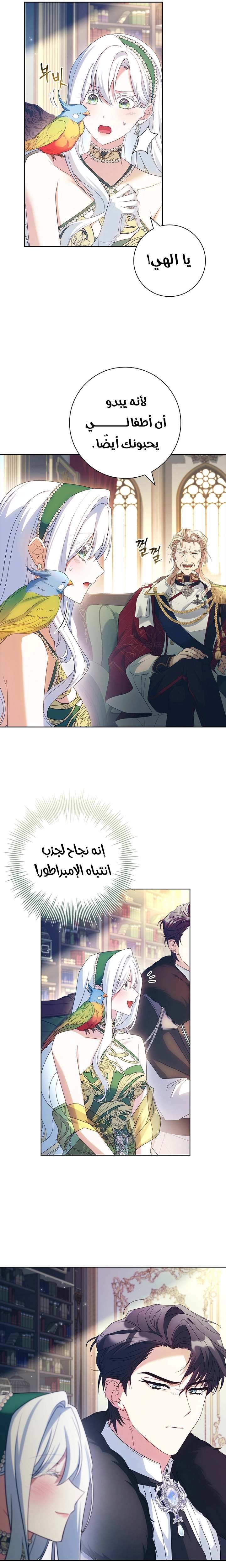 الصفحة 13