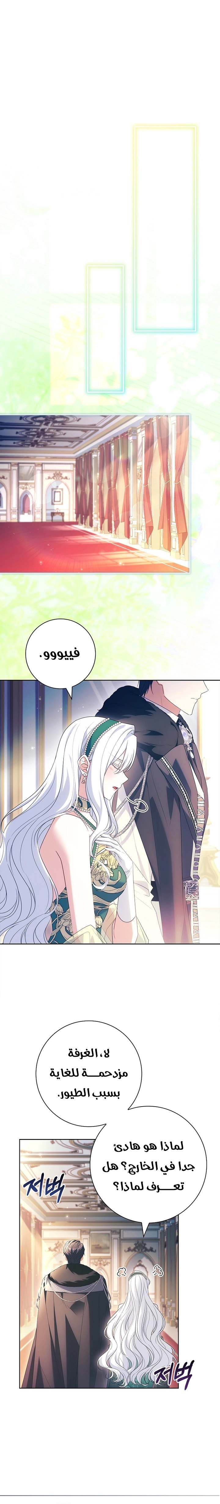 الصفحة 14