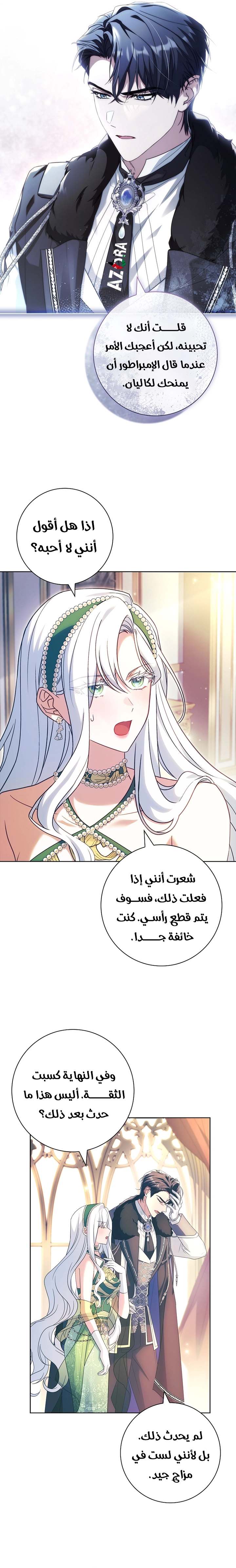 الصفحة 17