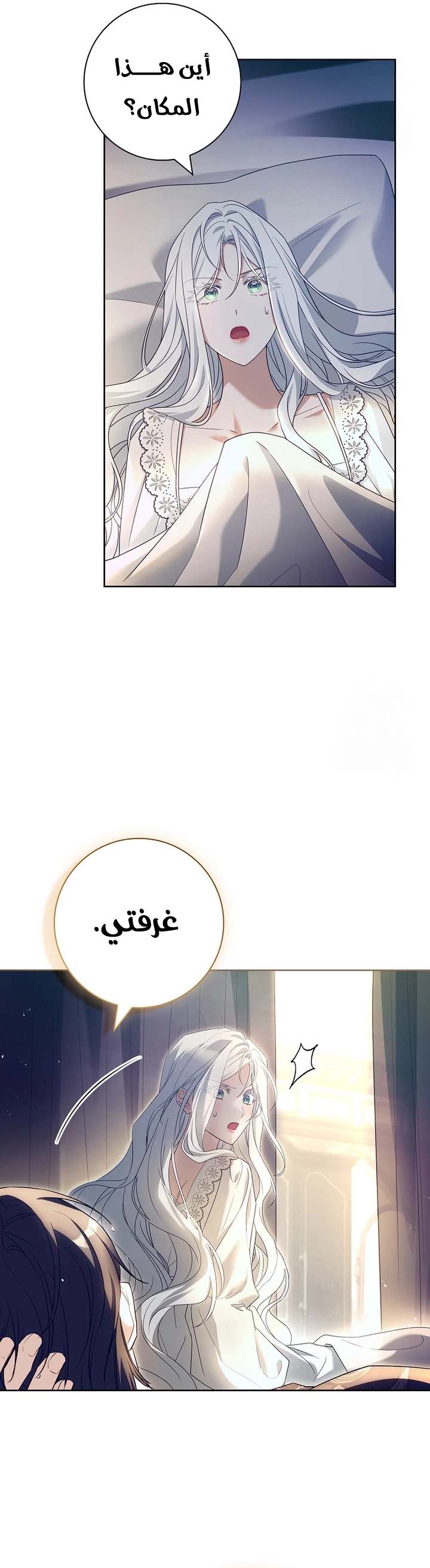 الصفحة 14