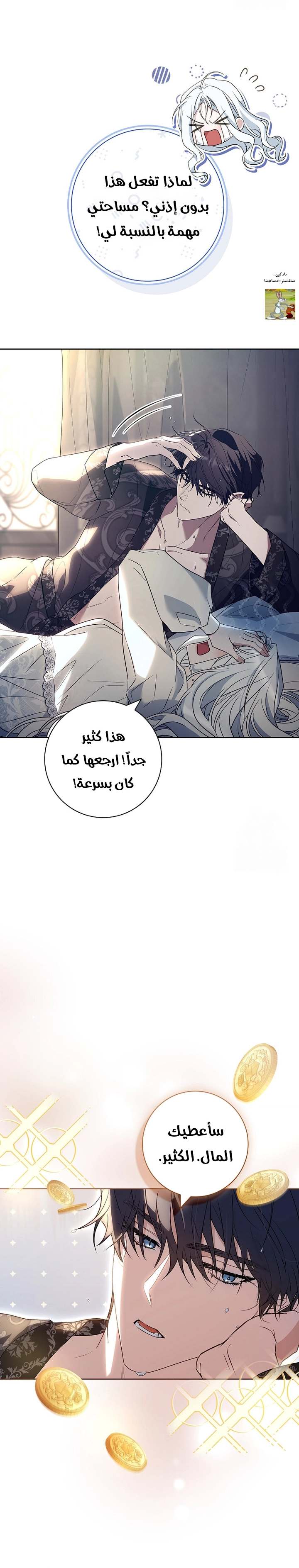الصفحة 17