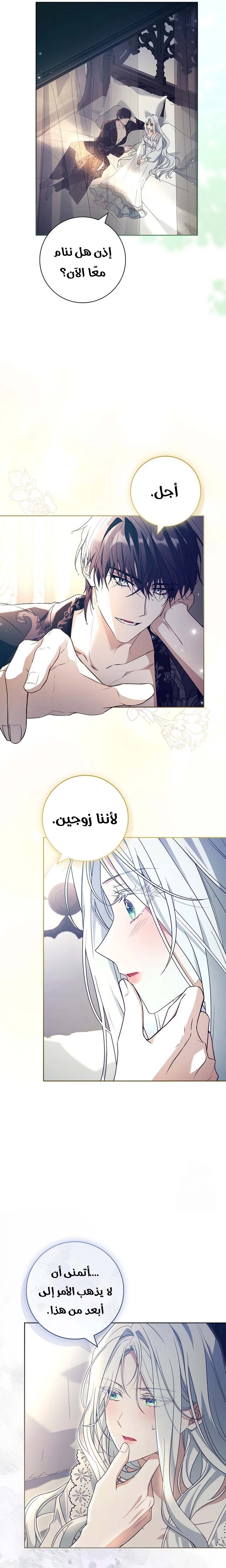 الصفحة 19