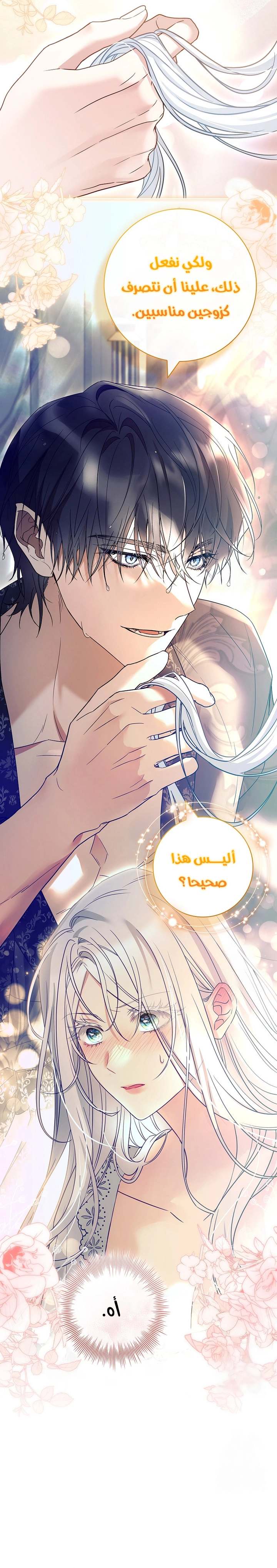 الصفحة 24
