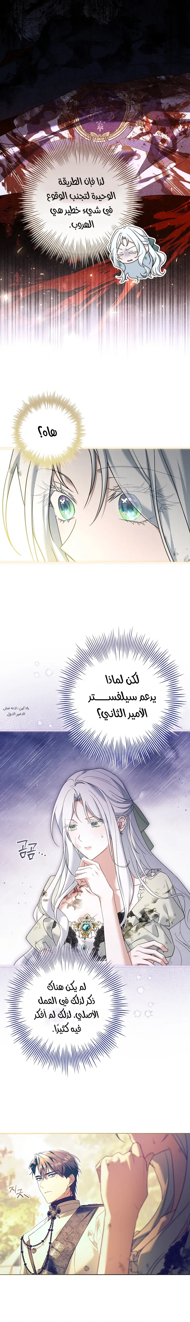 الصفحة 17
