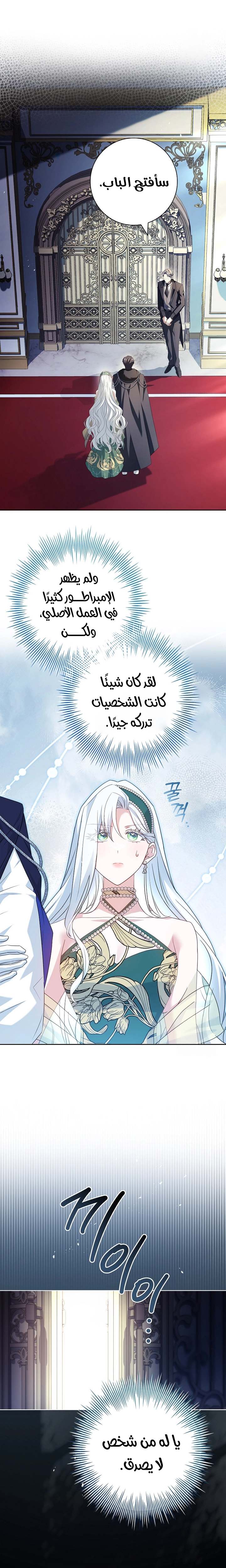 الصفحة 17