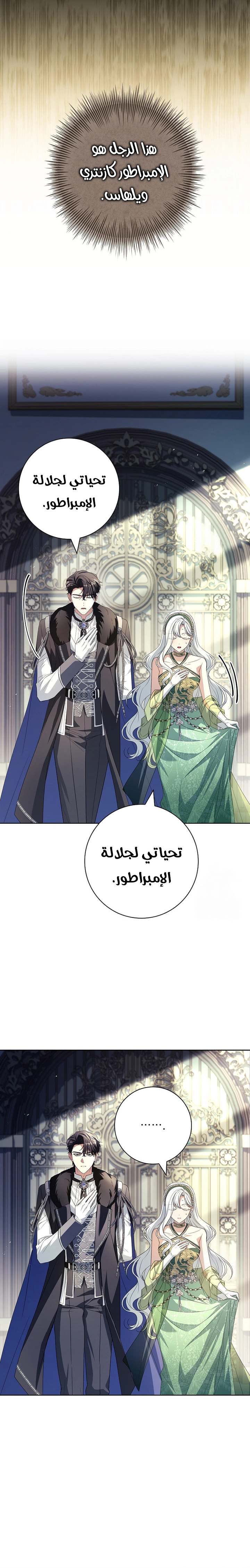 الصفحة 20
