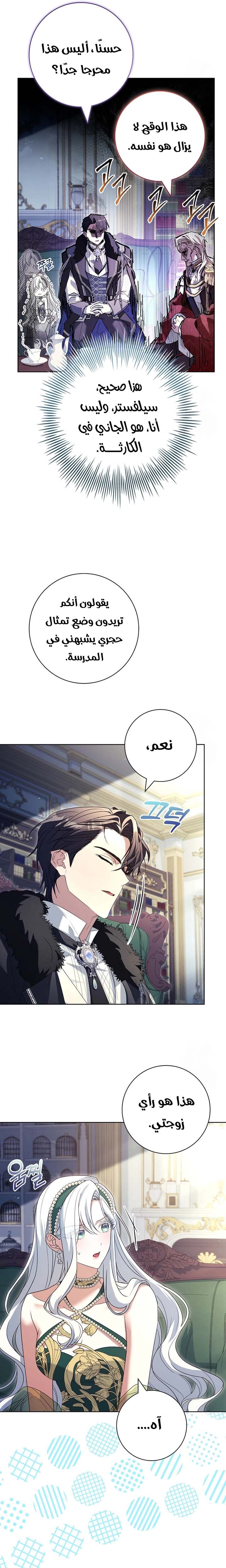 الصفحة 26