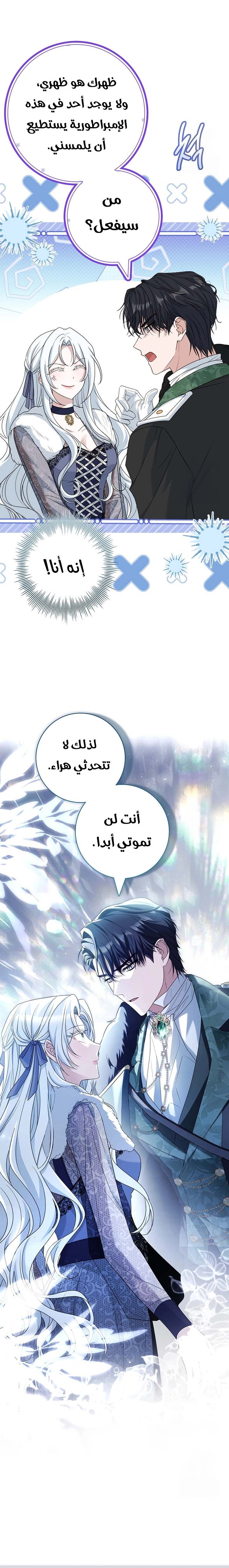 الصفحة 19