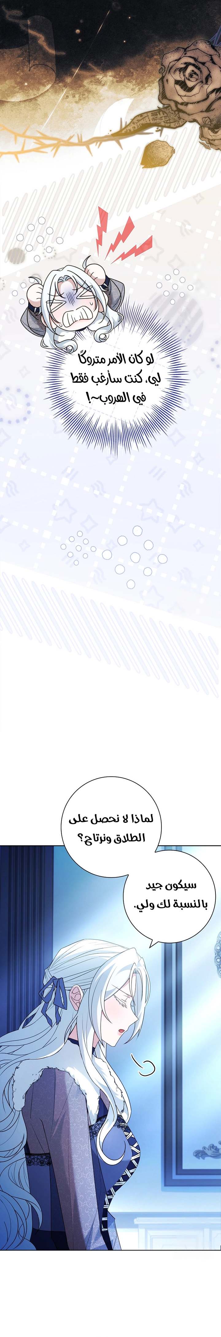 الصفحة 21