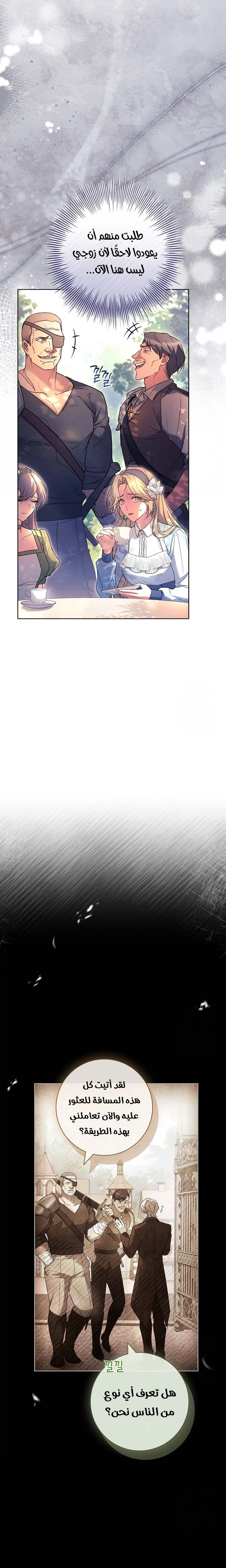 الصفحة 17