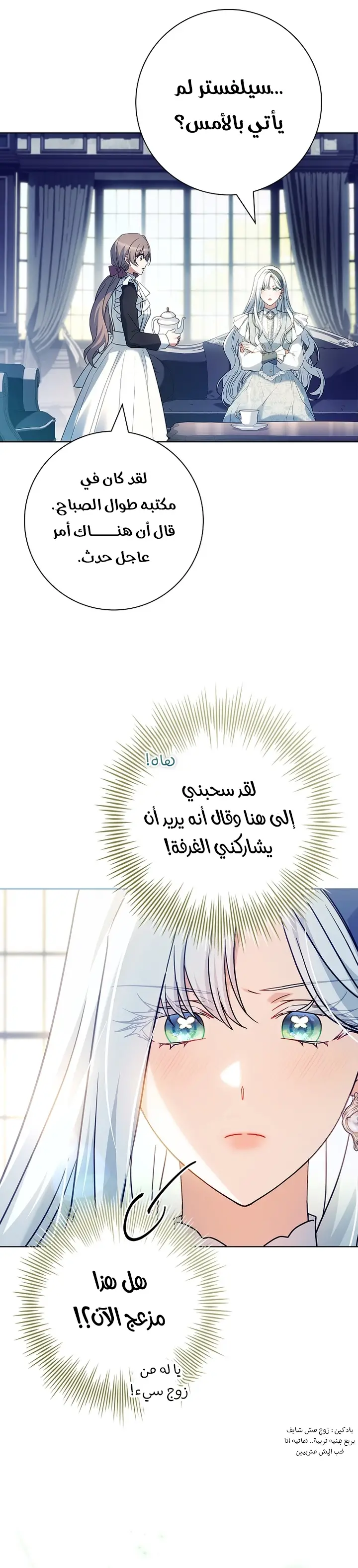 الصفحة 19