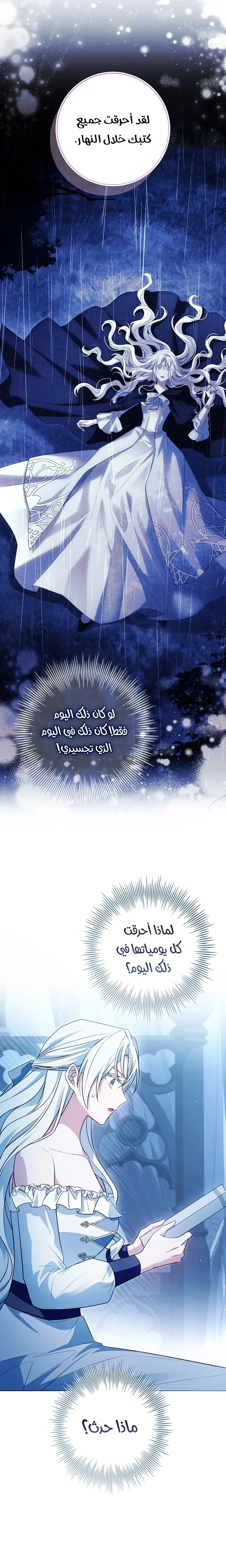 الصفحة 13