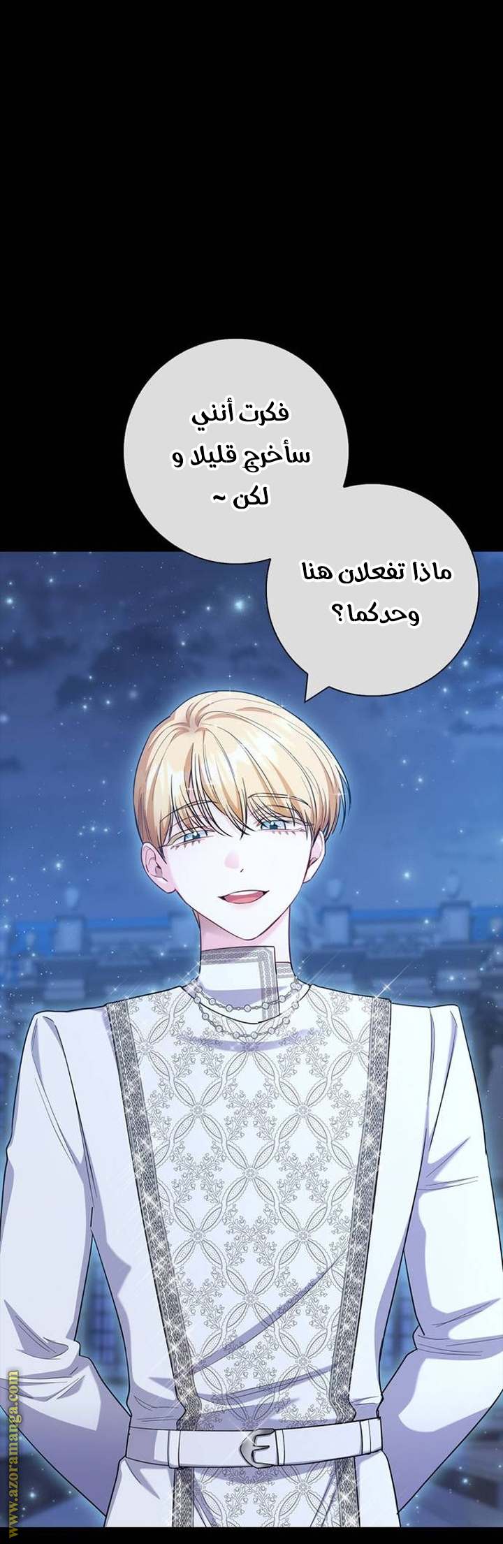 الصفحة 17
