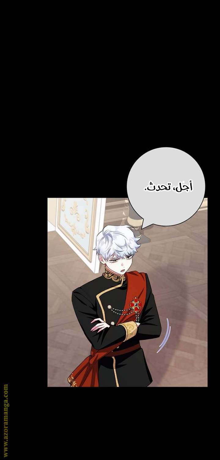 الصفحة 29