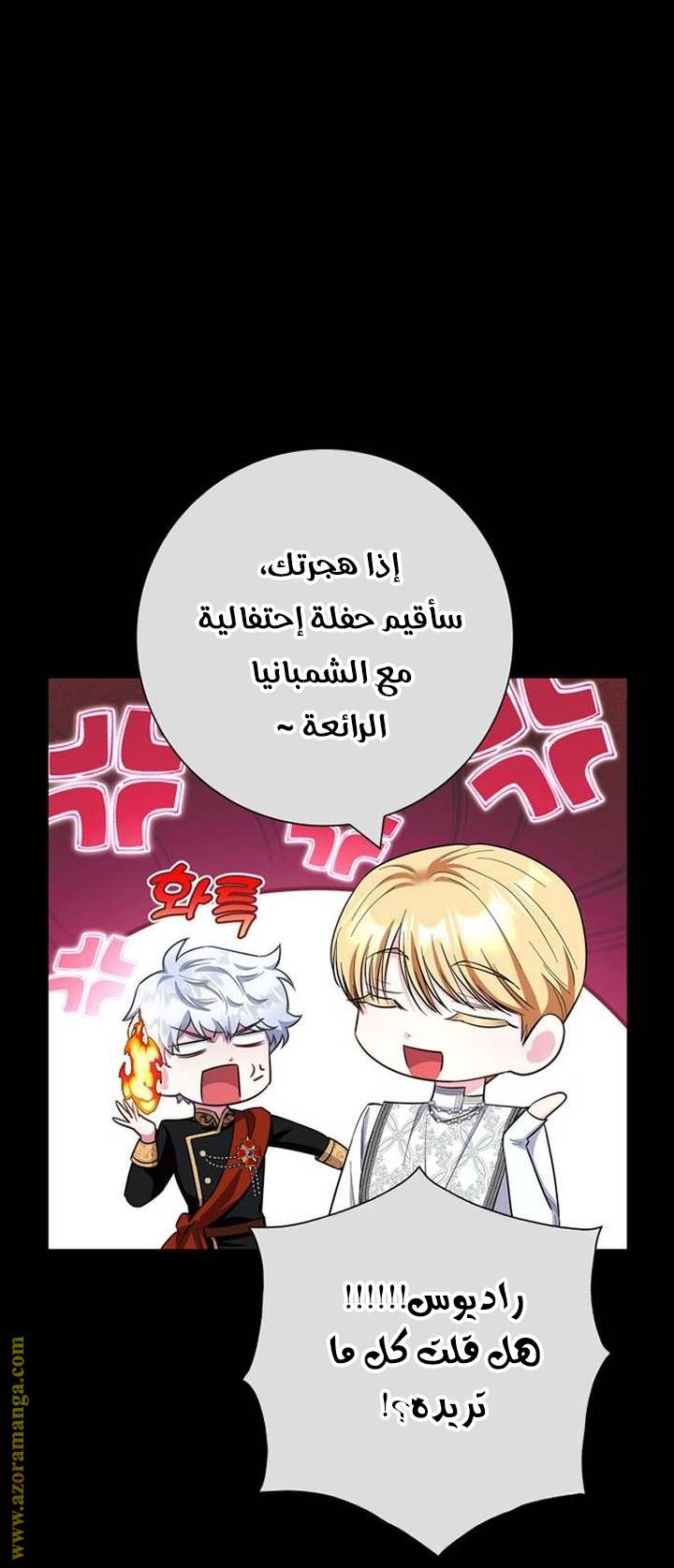 الصفحة 41