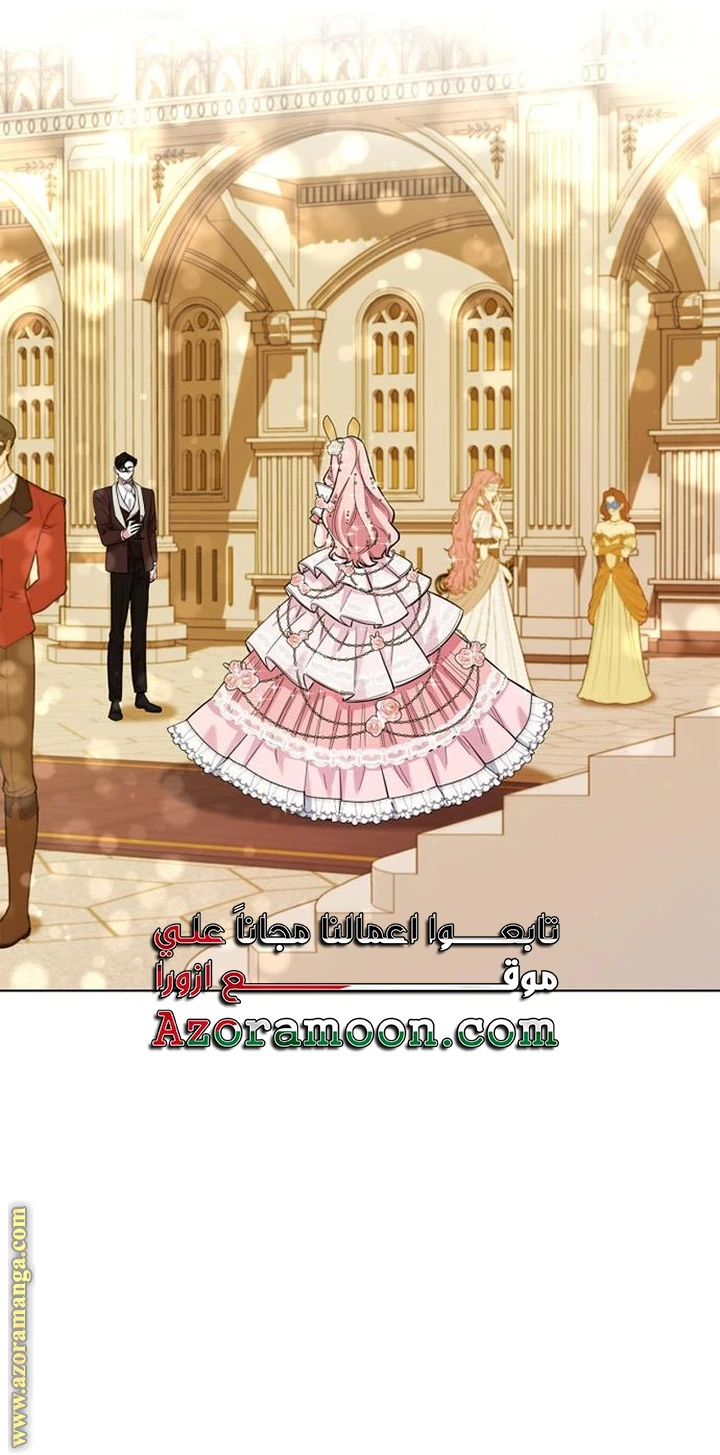 الصفحة 43