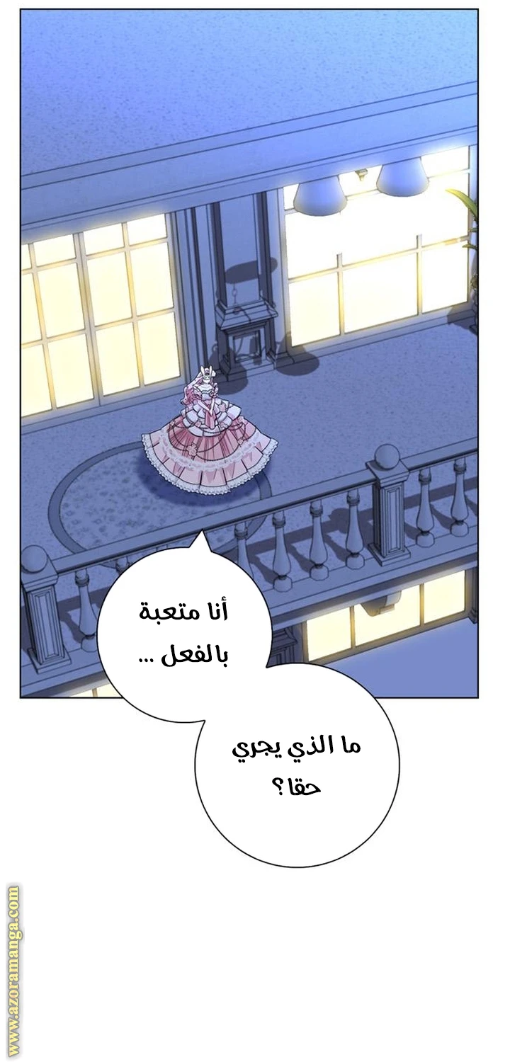 الصفحة 55