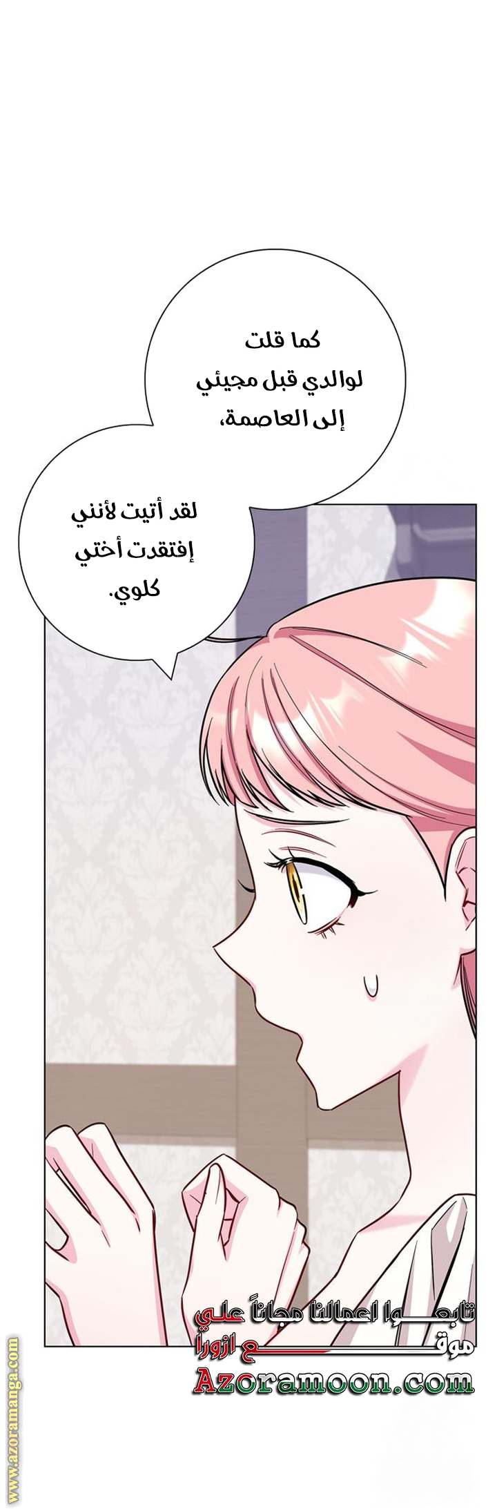الصفحة 27