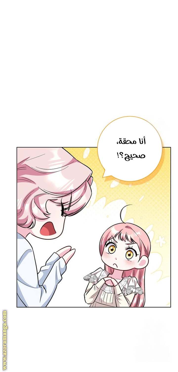 الصفحة 33