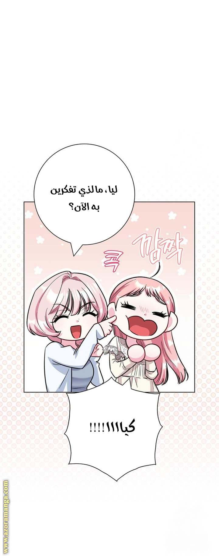 الصفحة 40