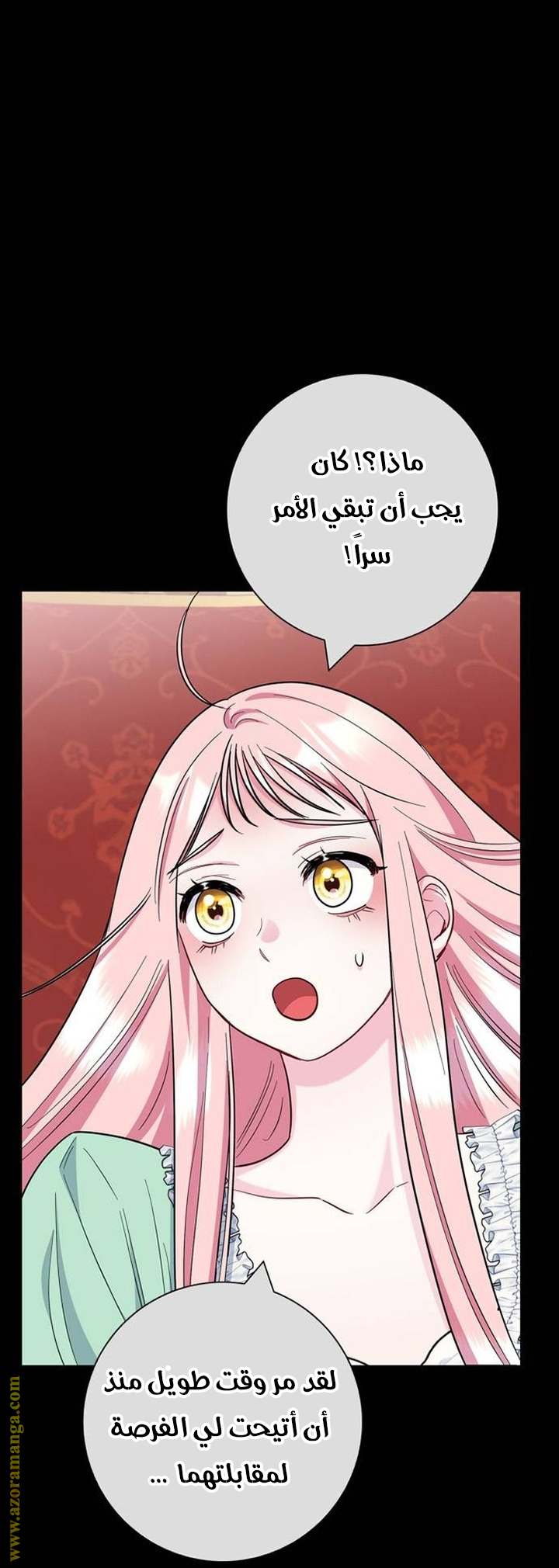 الصفحة 43
