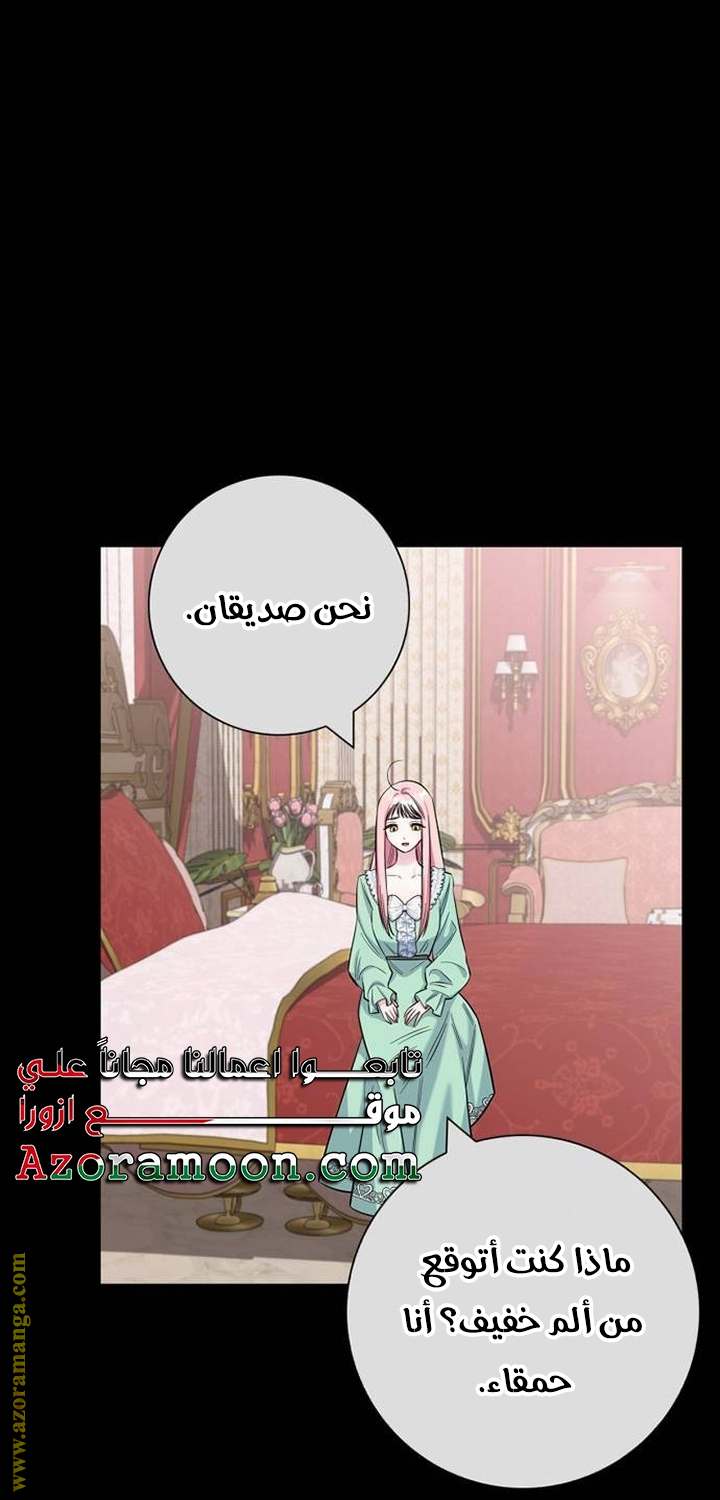 الصفحة 48