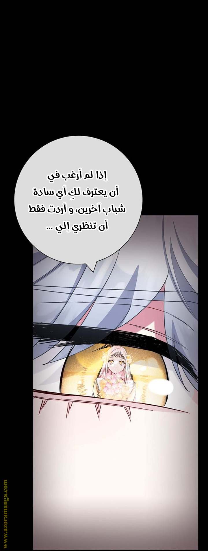 الصفحة 31