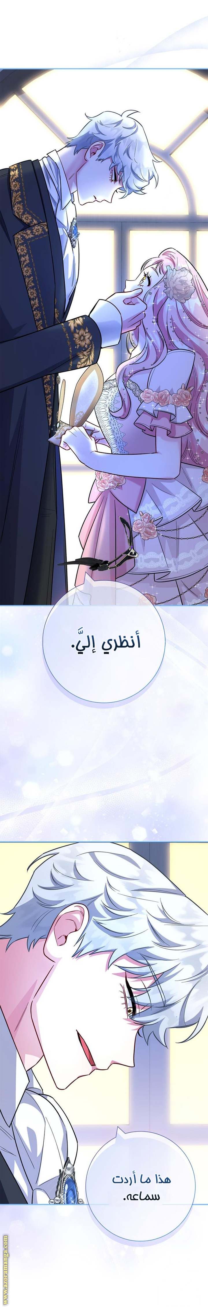 الصفحة 43