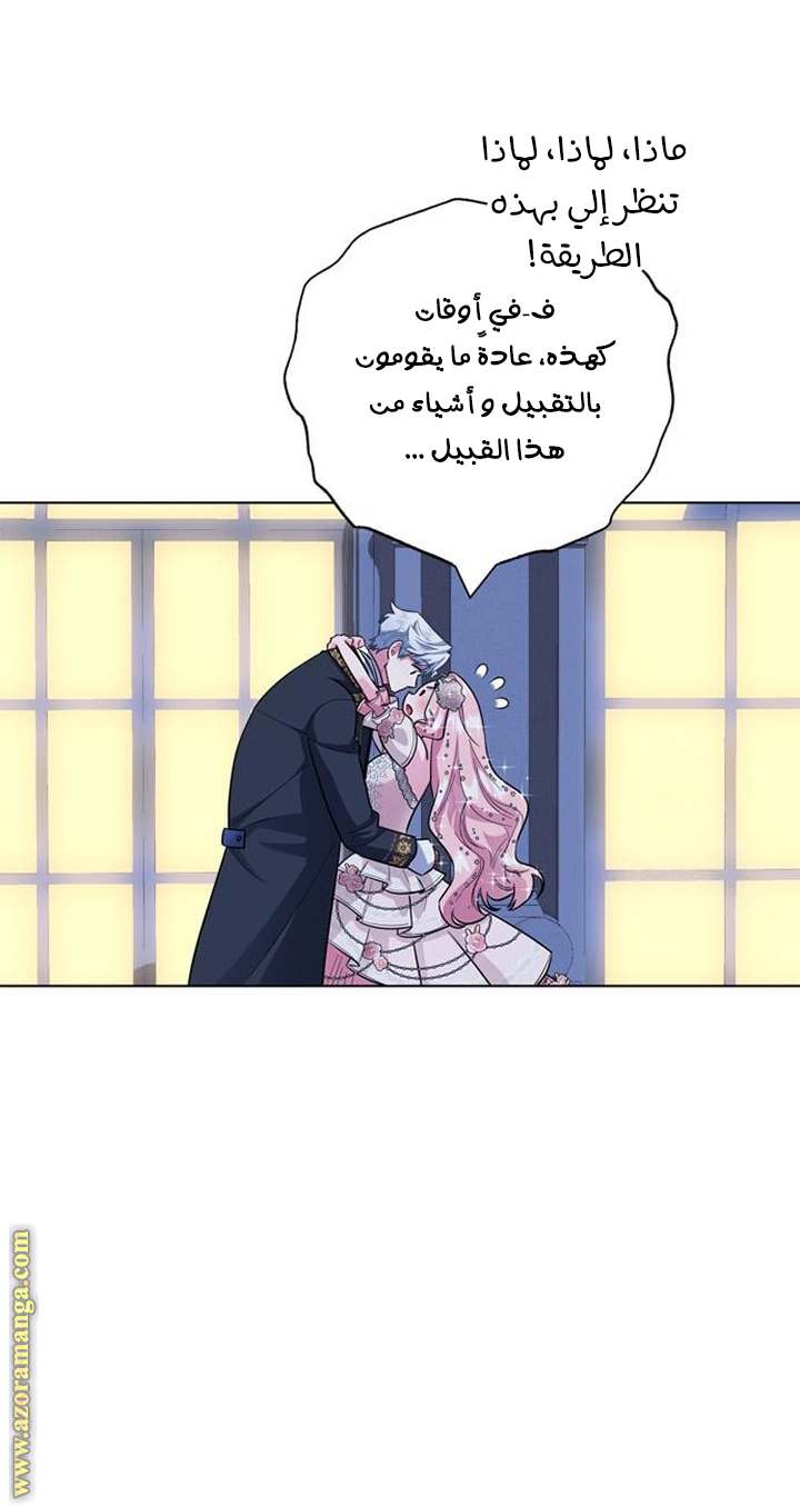 الصفحة 48