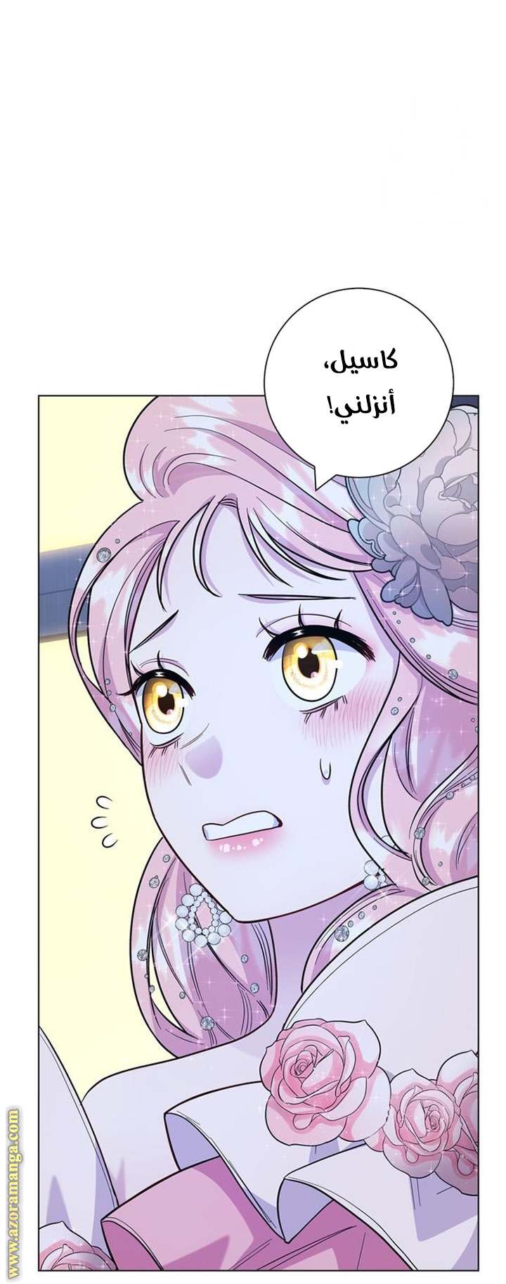 الصفحة 51