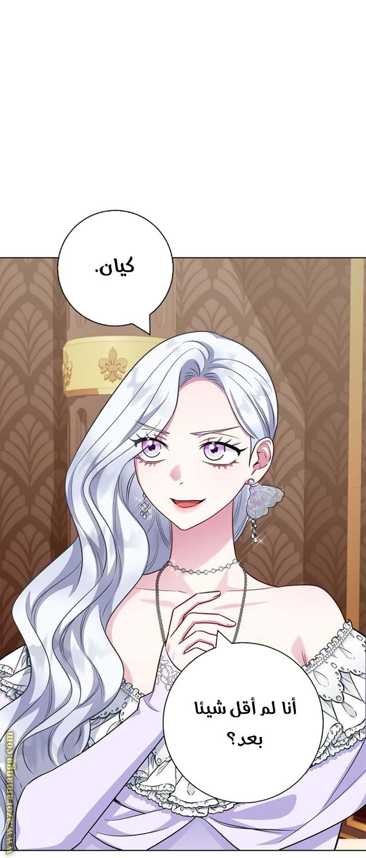 الصفحة 61