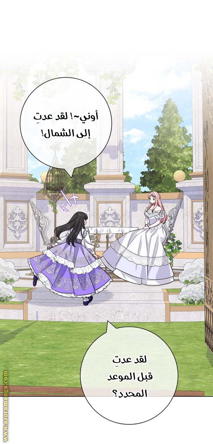 الصفحة 19