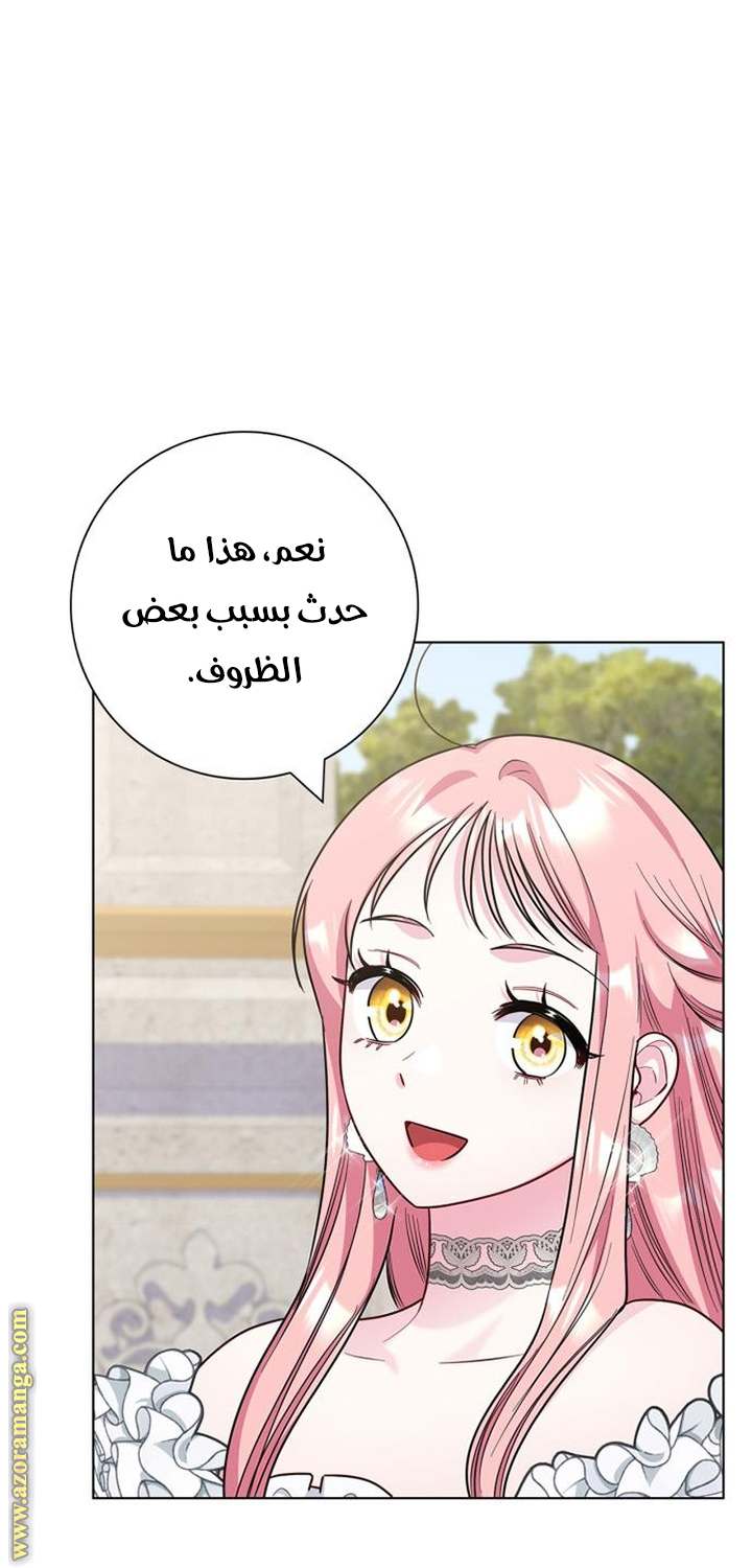 الصفحة 20