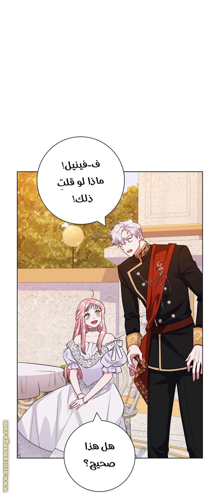 الصفحة 46