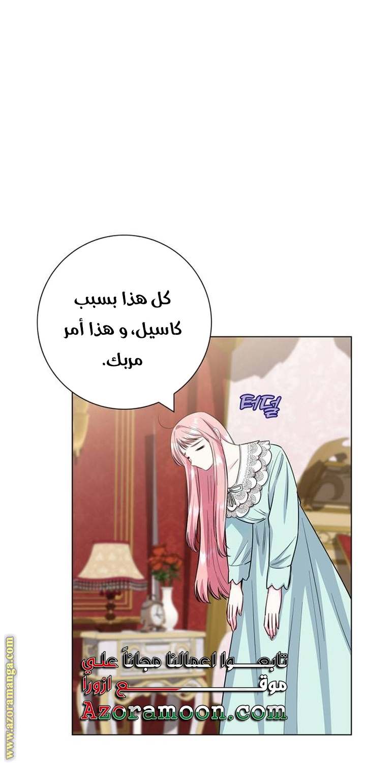 الصفحة 27