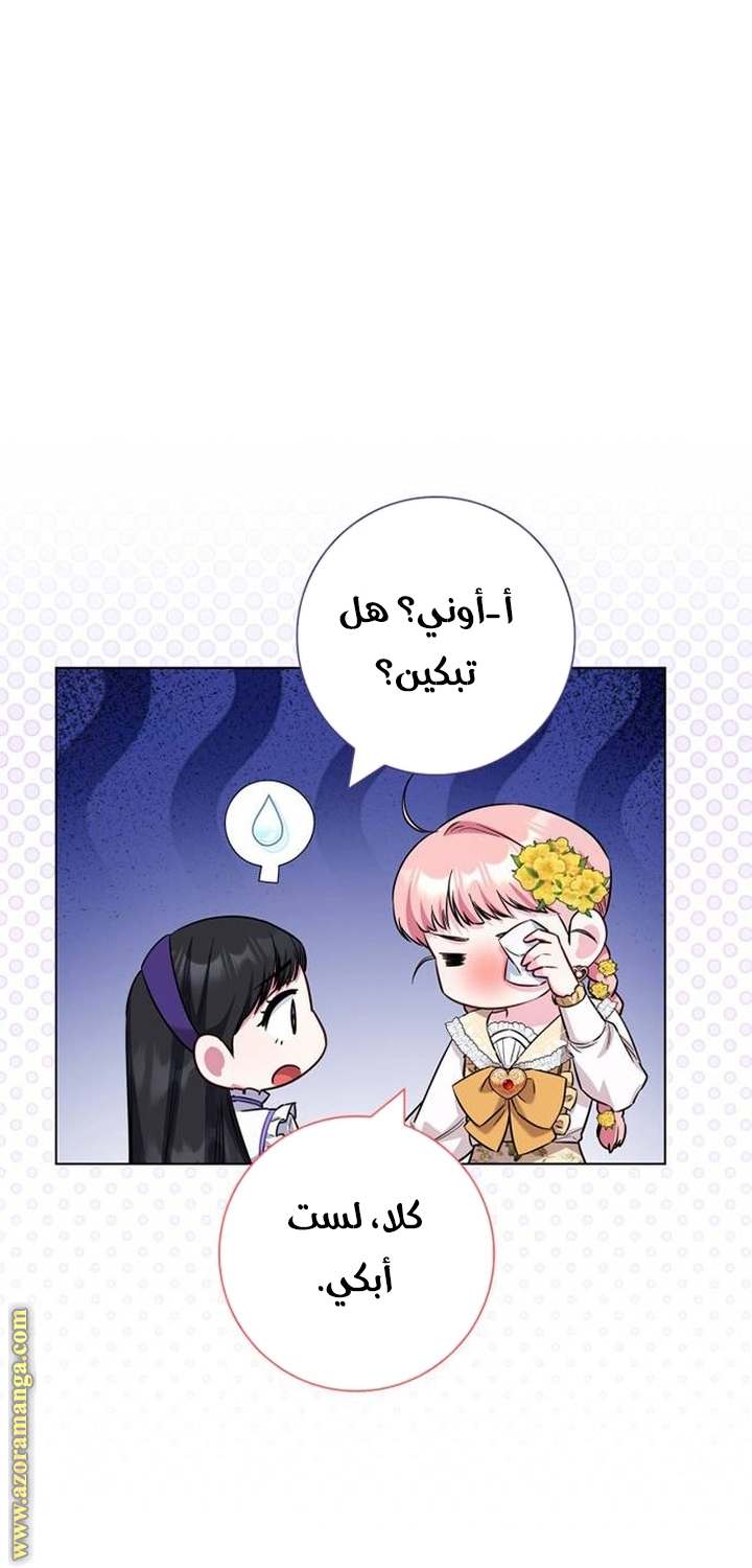 الصفحة 43