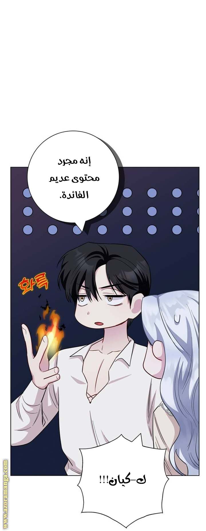 الصفحة 26