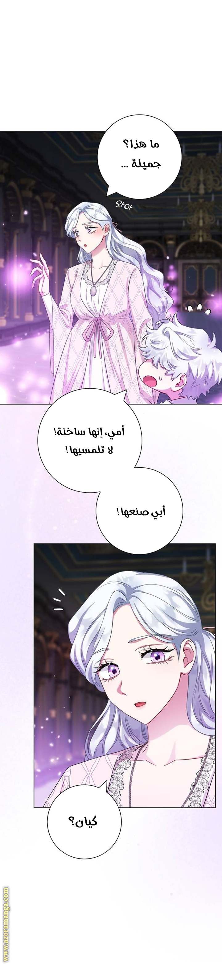 الصفحة 61