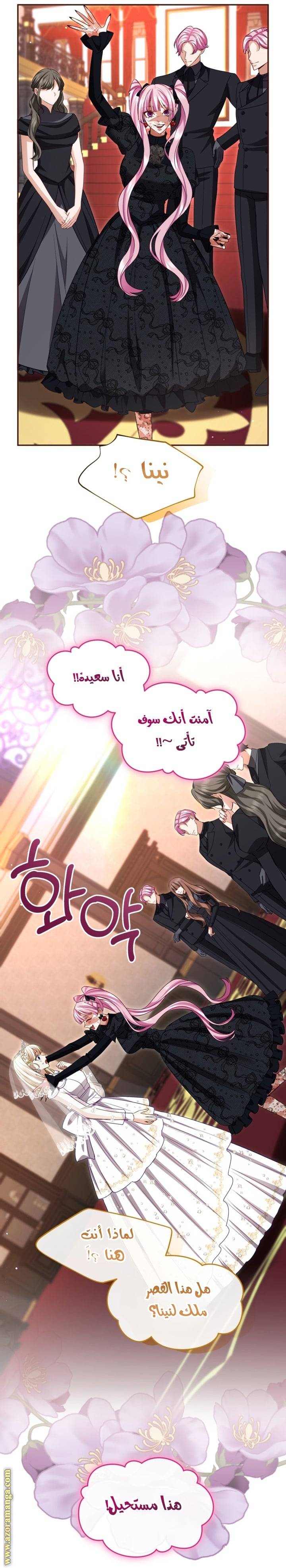 الصفحة 17