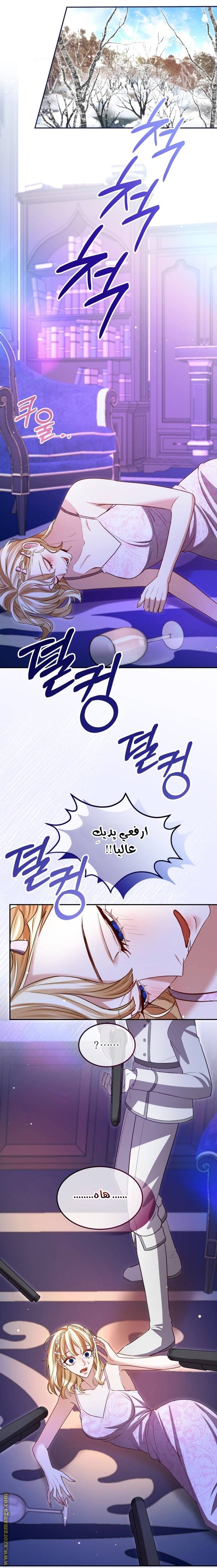 الصفحة 14
