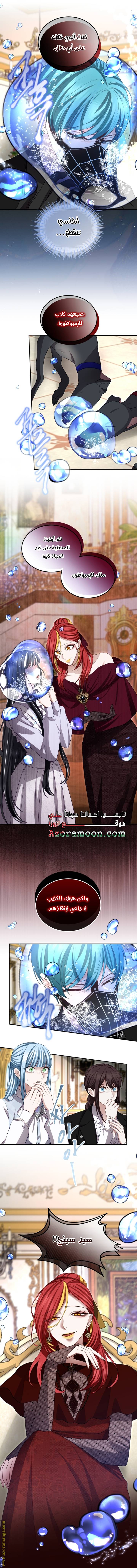 الصفحة 16