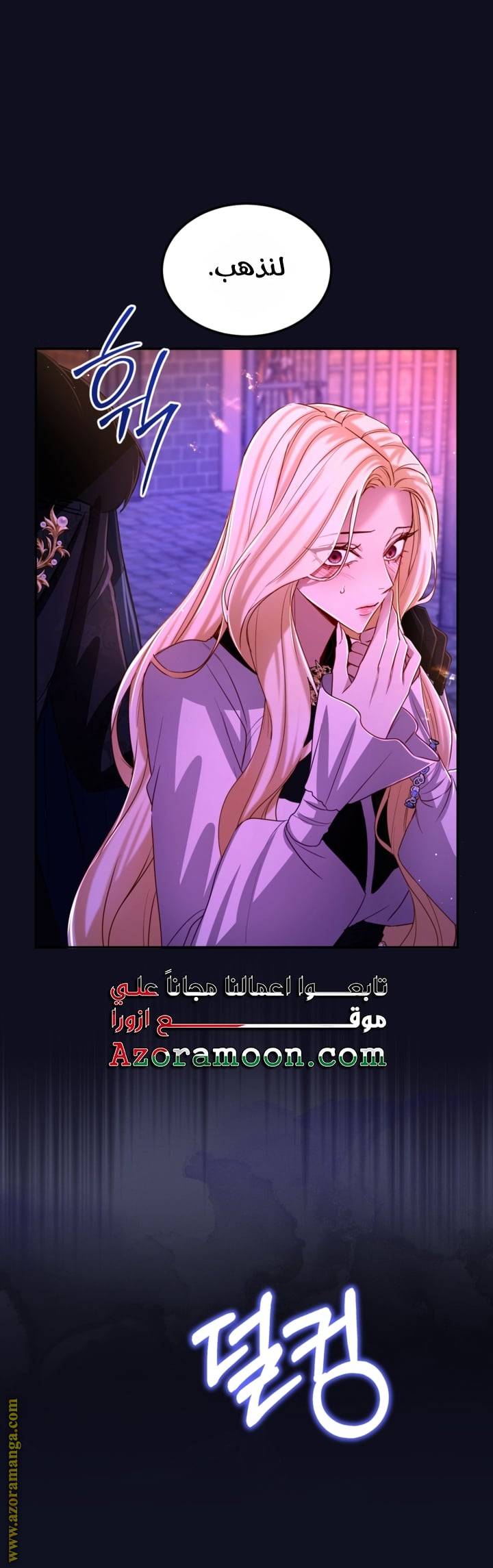 الصفحة 13