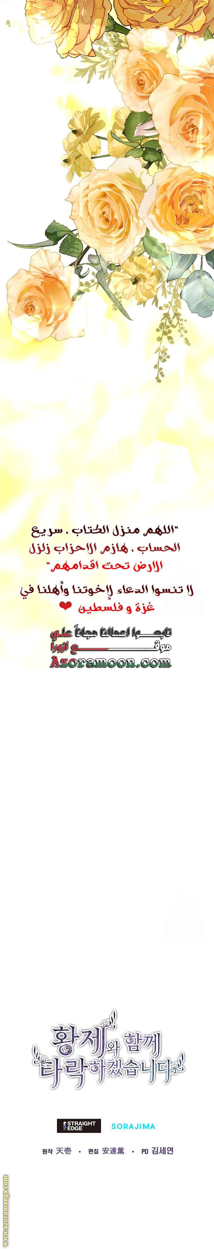 الصفحة 24