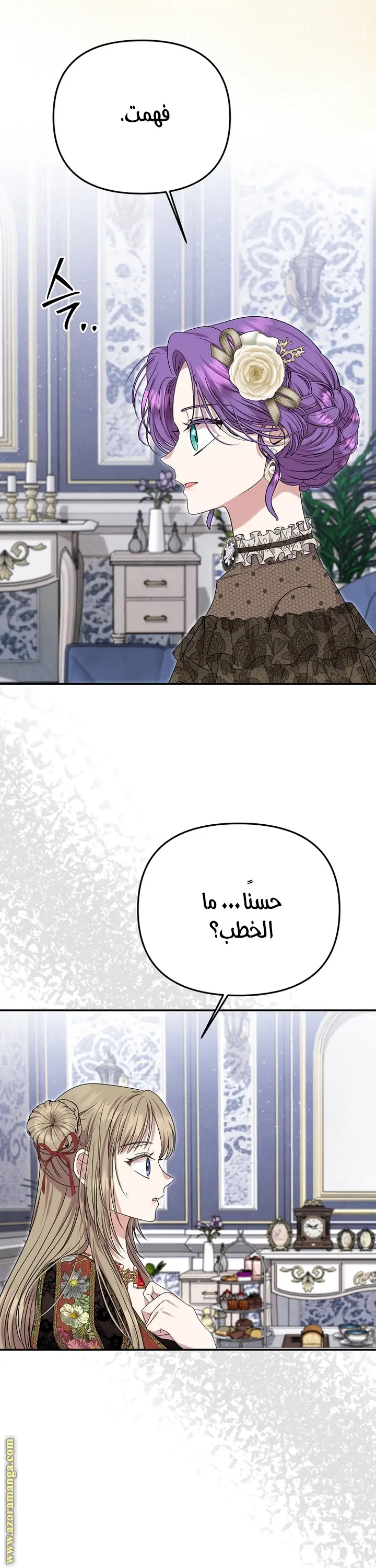 الصفحة 17