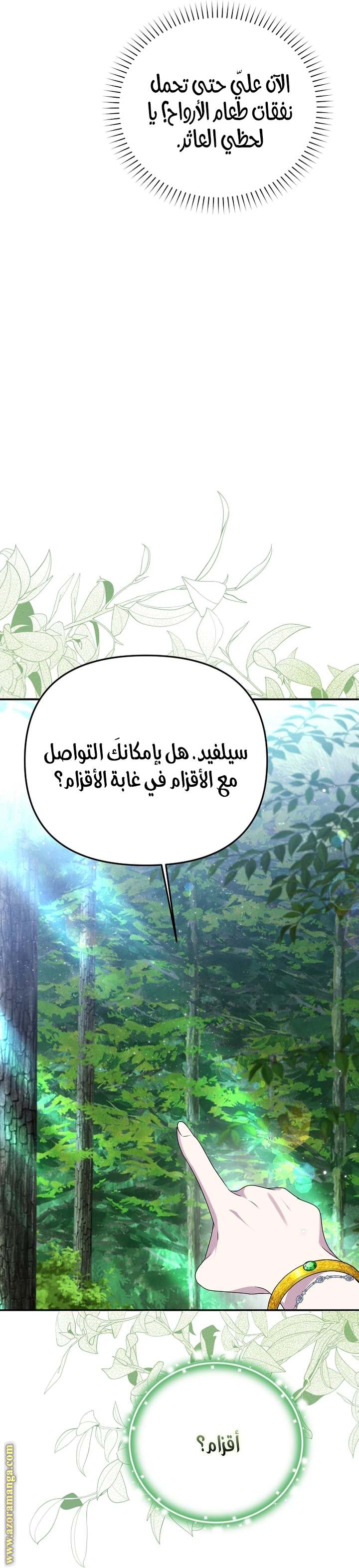 الصفحة 41